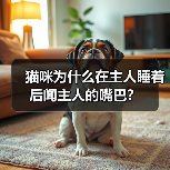 猫咪为什么在主人睡着后闻主人的嘴巴？(图3)