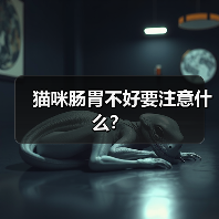 猫咪肠胃不好要注意什么？(图3)