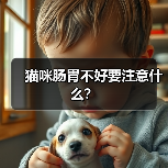猫咪肠胃不好要注意什么？ - 新生家伴