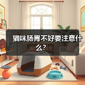 猫咪肠胃不好要注意什么？(图2)