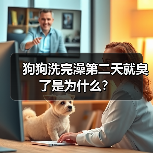 狗狗洗完澡第二天就臭了是为什么?(图2) 狗狗洗完澡第二天就臭了是为什么?(图2)