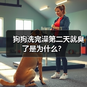 狗狗洗完澡第二天就臭了是为什么？ - 新生家伴