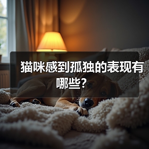 猫咪感到孤独的表现有哪些?(图4) 猫咪感到孤独的表现有哪些?(图4)