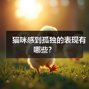 猫咪感到孤独的表现有哪些?(图3) 猫咪感到孤独的表现有哪些?(图3)