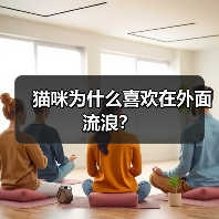 猫咪为什么喜欢在外面流浪? 猫咪为什么喜欢在外面流浪?(图3)