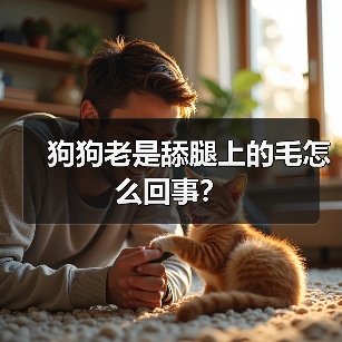 狗狗老是舔腿上的毛怎么回事？ - 新生家伴