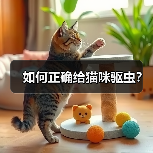 如何正确给猫咪驱虫？(图2)