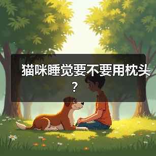 猫咪睡觉要不要用枕头？(图3)