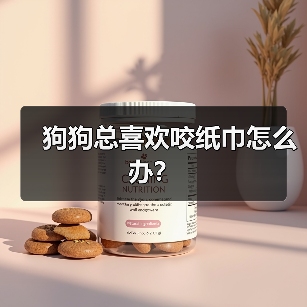 狗狗总喜欢咬纸巾怎么办？(图3)
