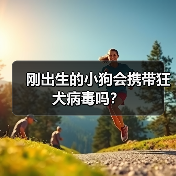 刚出生的小狗会携带狂犬病毒吗?(图3) 刚出生的小狗会携带狂犬病毒吗?(图3)