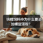 锦鲤饲料中为什么要添加螺旋藻粉？(图2)