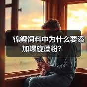 锦鲤饲料中为什么要添加螺旋藻粉？ - 新生家伴