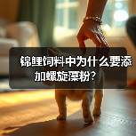 锦鲤饲料中为什么要添加螺旋藻粉？(图3)