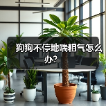 狗狗不停地喘粗气怎么办？(图4)