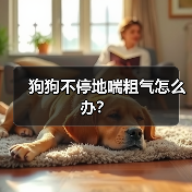 狗狗不停地喘粗气怎么办？(图2)
