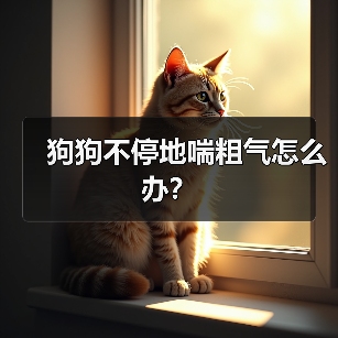 狗狗不停地喘粗气怎么办？ - 新生家伴