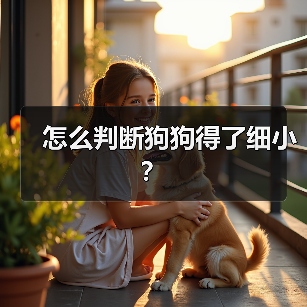 怎么判断狗狗得了细小？ - 新生家伴