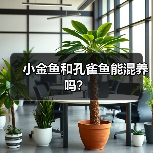 小金鱼和孔雀鱼能混养吗？(图2)