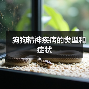 狗狗精神疾病的类型和症状(图1)