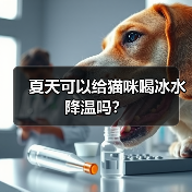 夏天可以给猫咪喝冰水降温吗？(图2)