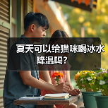 夏天可以给猫咪喝冰水降温吗？ - 新生家伴