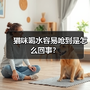 猫咪喝水容易呛到是怎么回事？(图3)