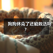 狗狗休克了还能救活吗？(图2)
