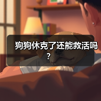 狗狗休克了还能救活吗？ - 新生家伴