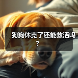 狗狗休克了还能救活吗？(图4)
