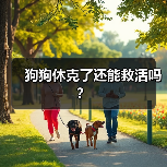 狗狗休克了还能救活吗？(图3)