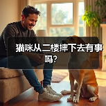 猫咪从二楼摔下去有事吗？(图3)