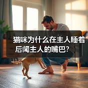猫咪为什么在主人睡着后闻主人的嘴巴？ - 新生家伴