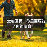 宠物医师，你是否履行了你的使命？(图4)