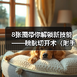 8张图带你解锁新技能——膀胱切开术（附手术视频） - 新生家伴