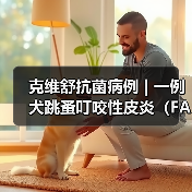 克维舒抗菌病例 | 一例犬跳蚤叮咬性皮炎（FAD）的病例分析(图4)