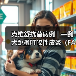 克维舒抗菌病例 | 一例犬跳蚤叮咬性皮炎（FAD）的病例分析 - 新生家伴