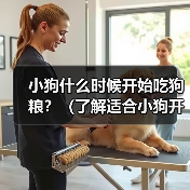 小狗什么时候开始吃狗粮？（了解适合小狗开始吃狗粮的时间和方法）(图2)