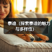 泰迪（探索泰迪的魅力与多样性） - 新生家伴