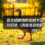 适合鹦鹉啃咬的树木及其好处（选择合适的树木让你的鹦鹉健康快乐 - 新生家伴