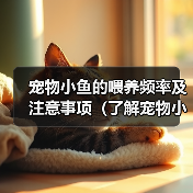 宠物小鱼的喂养频率及注意事项（了解宠物小鱼的饮食习惯，做好喂养的准备）(图4)