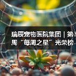 瑞辰宠物医院集团 | 第3周“每周之星”光荣榜(图2)