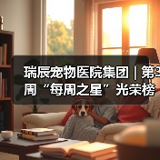 瑞辰宠物医院集团 | 第3周“每周之星”光荣榜(图4)