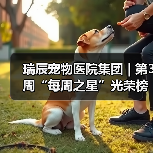 瑞辰宠物医院集团 | 第3周“每周之星”光荣榜(图3)