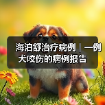 海泊舒治疗病例 | 一例犬咬伤的病例报告(图4) 海泊舒治疗病例 | 一例犬咬伤的病例报告(图4)