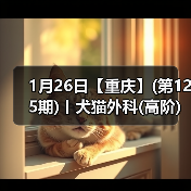 1月26日【重庆】(第125期)丨犬猫外科(高阶)班！含SUB(人人可实操)、乳糜胸等技术！(图2)