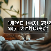 1月26日【重庆】(第125期)丨犬猫外科(高阶)班！含SUB(人人可实操)、乳糜胸等技术！(图3)