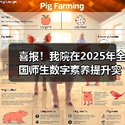 喜报！我院在2025年全国师生数字素养提升实践活动中荣获“标 - 新生家伴