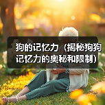狗的记忆力(揭秘狗狗记忆力的奥秘和限制)(图3) 狗的记忆力(揭秘狗狗记忆力的奥秘和限制)(图3)