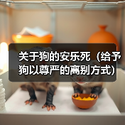 关于狗的安乐死（给予狗以尊严的离别方式） - 新生家伴
