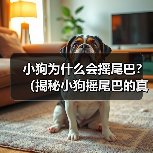 小狗为什么会摇尾巴？（揭秘小狗摇尾巴的真正含义）(图3)